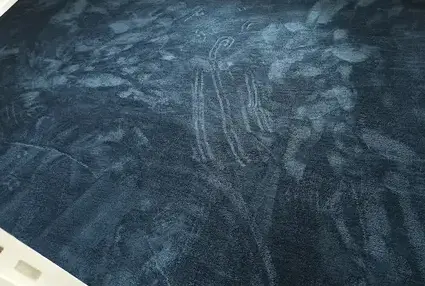 moquette à Saint-Jacques-de-la-Lande - image 2